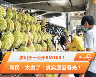 猫山王价格飙升至每公斤Rm168