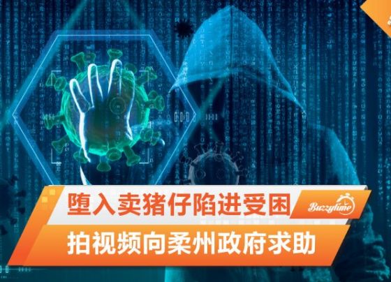 卖猪仔