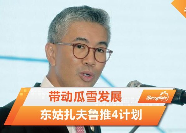 瓜雪发展
