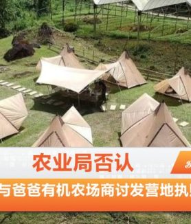 爸爸有机农场