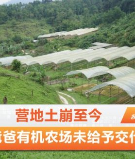 爸爸有机农场