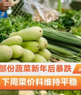 菜价