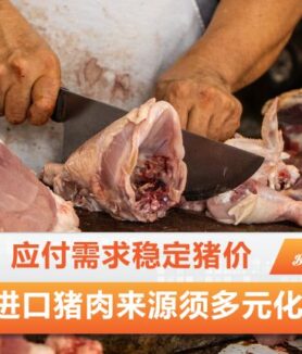 猪肉