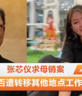 张芯仪