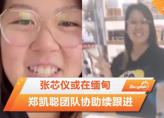 张芯仪