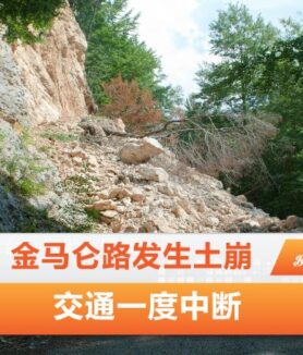 金马仑