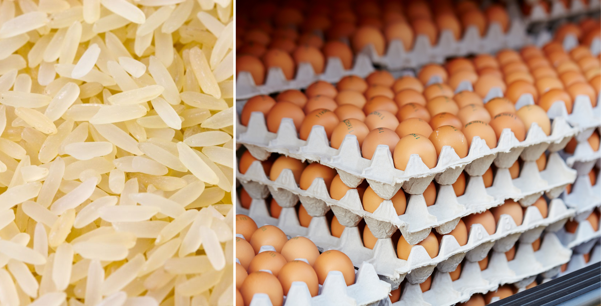 国家粮食政策会议：白米价格管控与鸡蛋补贴成焦点